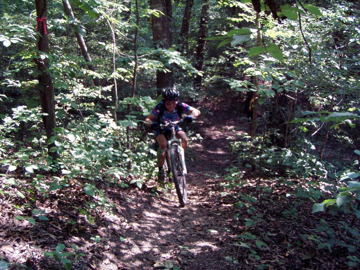 p1010144.jpg