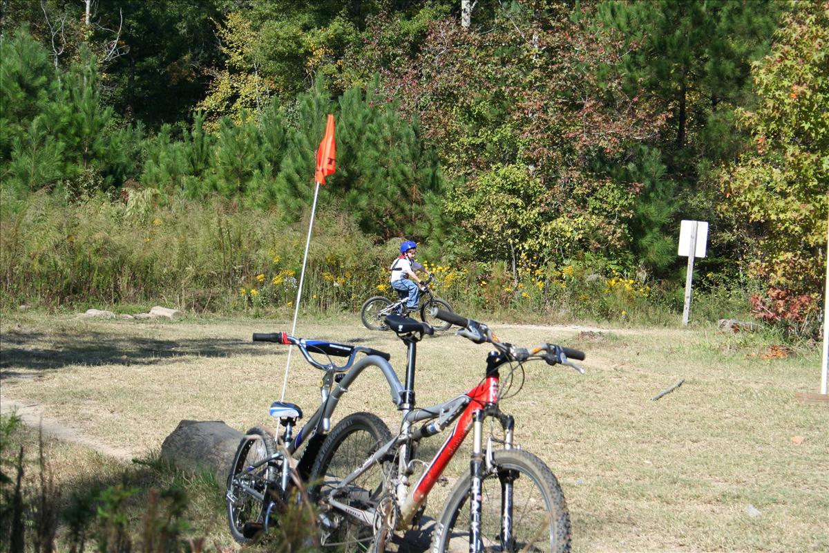 img_0428.jpg