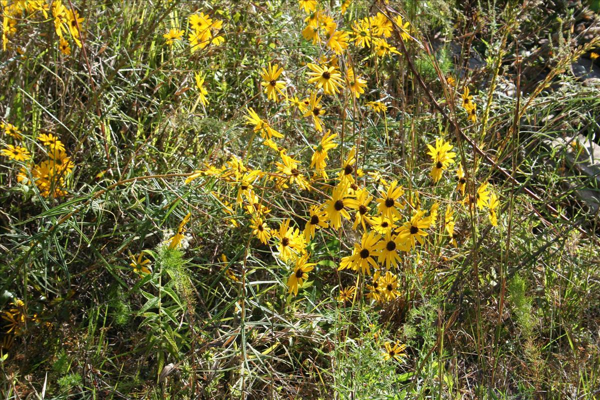 img_0407.jpg