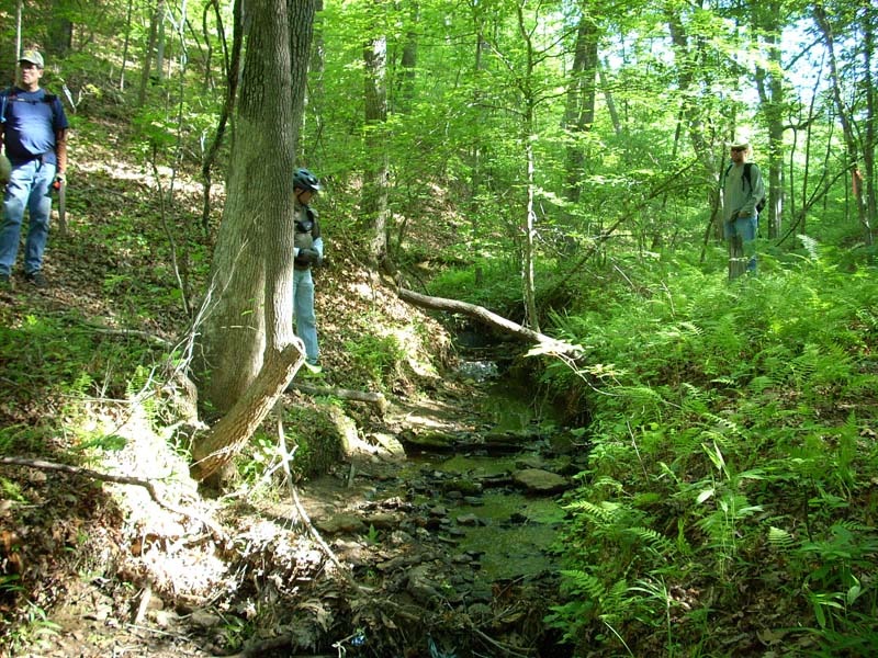 dscn0889.jpg