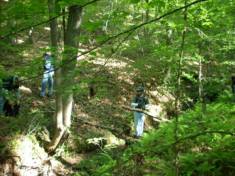 dscn0890.jpg