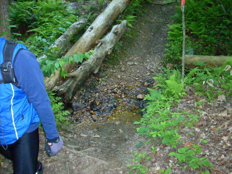 dscn0852.jpg