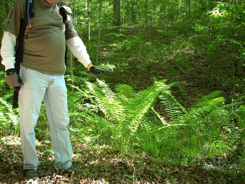 dscn0920.jpg