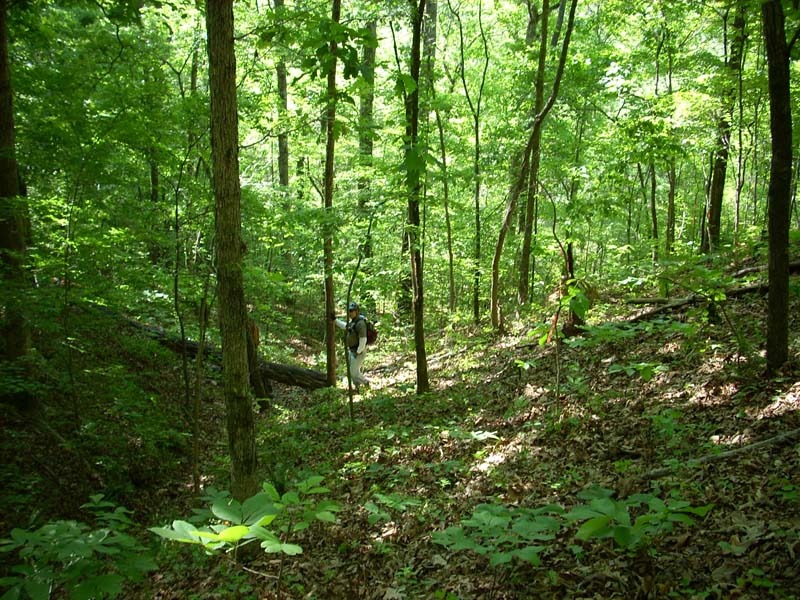 dscn0927.jpg