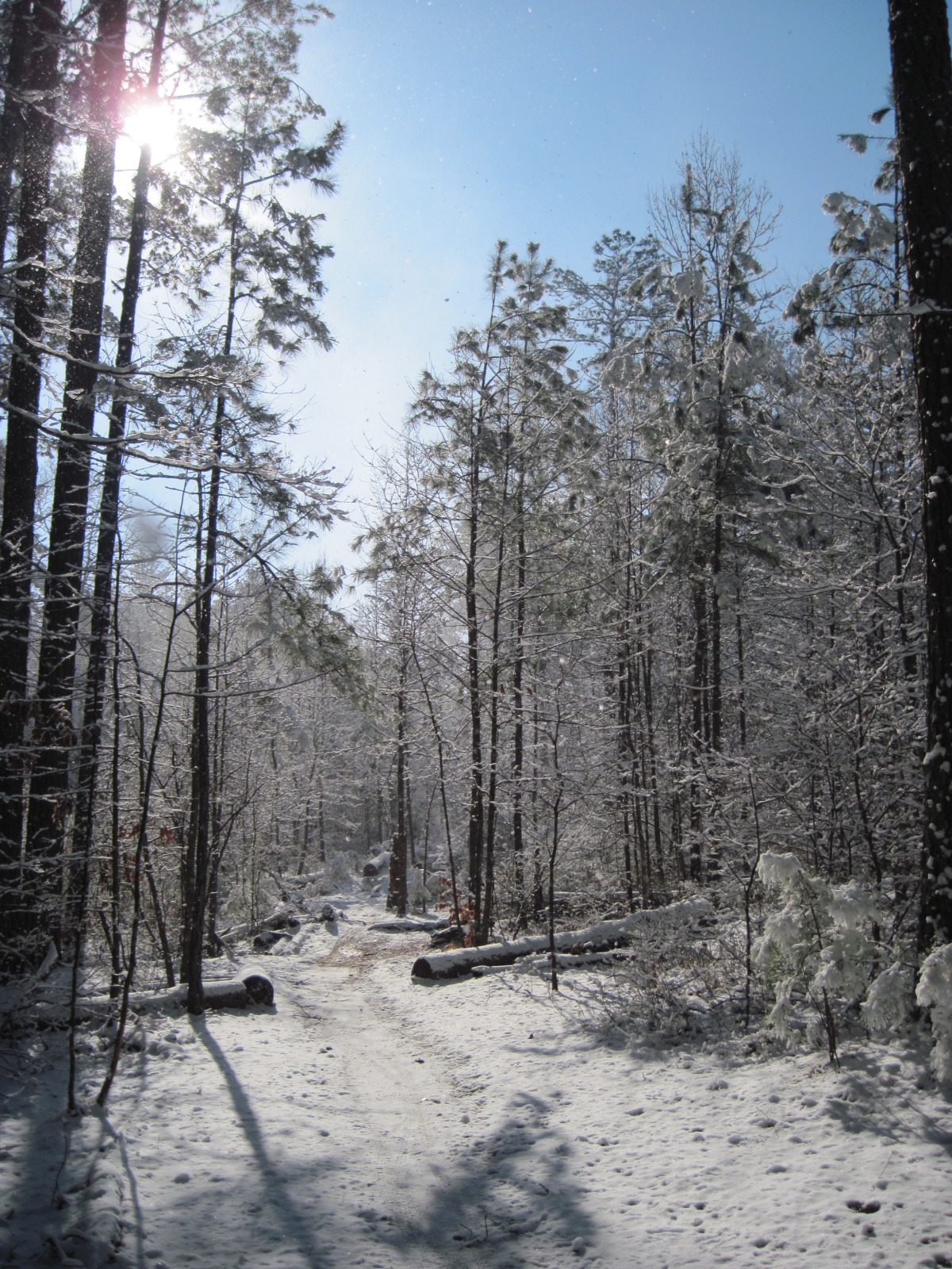 snow ride 003.jpg