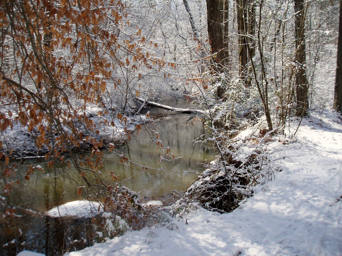 snow3.jpg