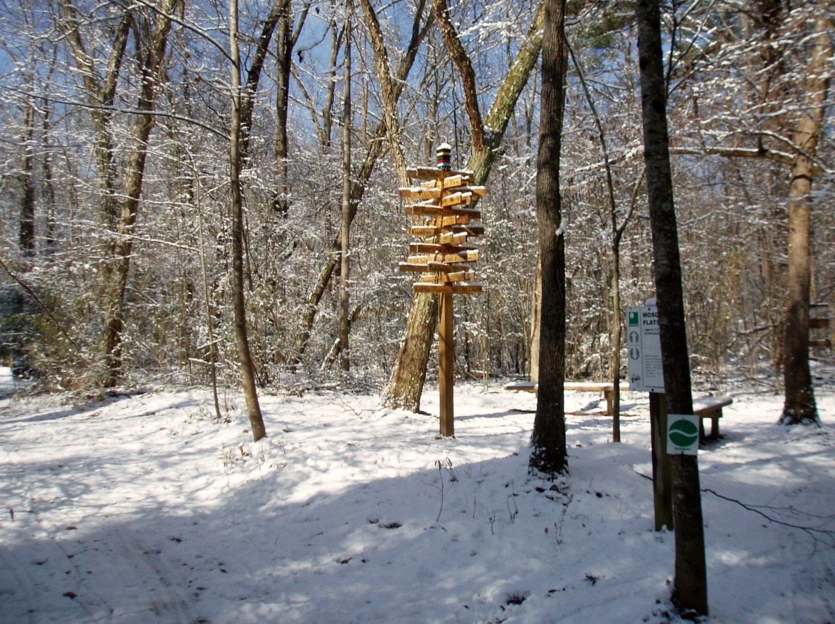 snow8.jpg
