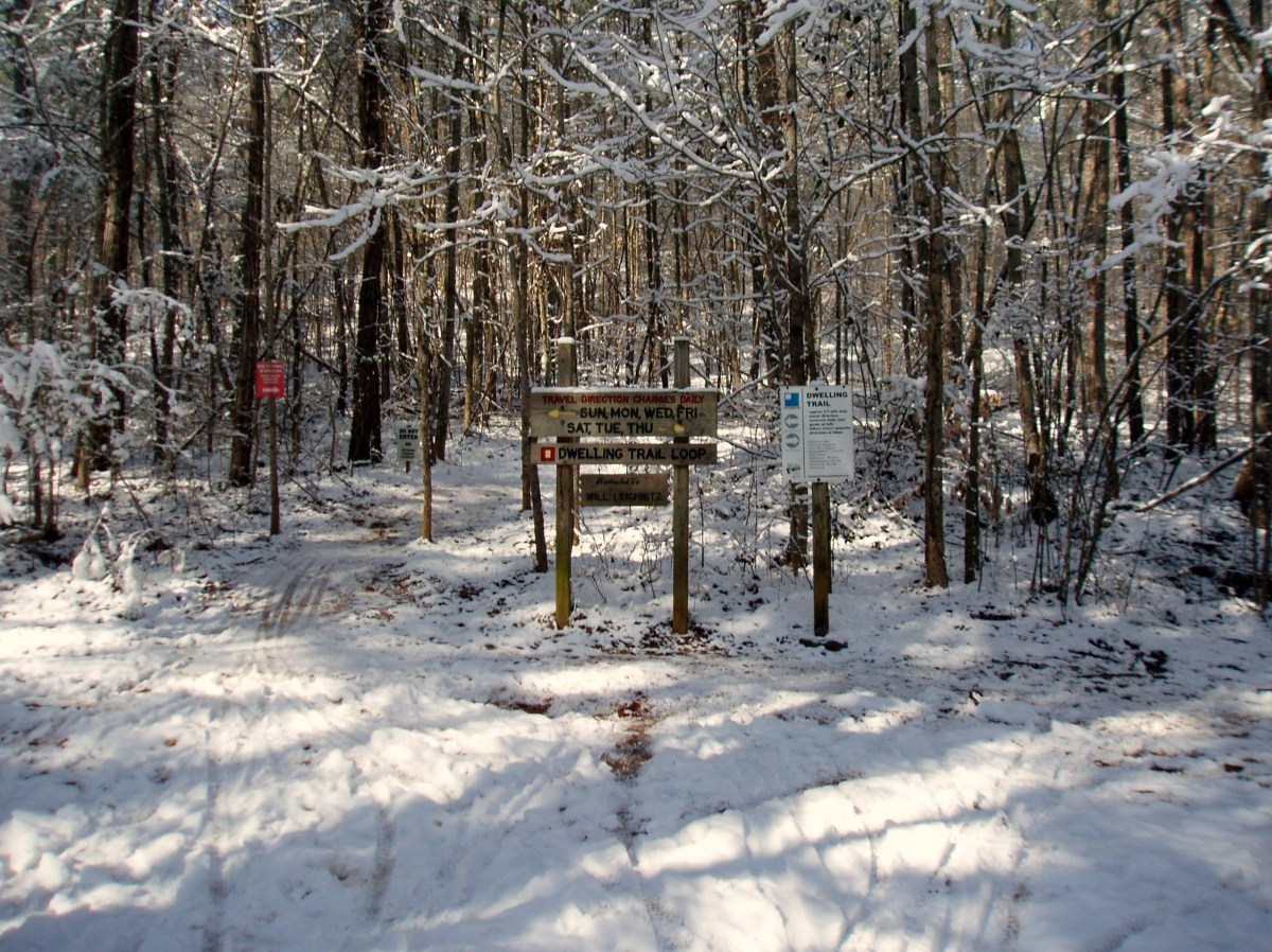 snow9.jpg