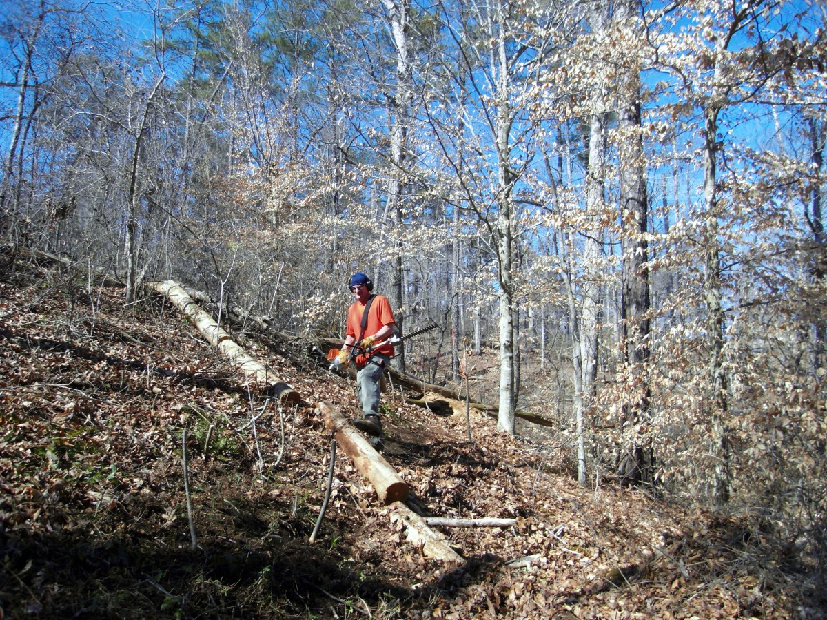 sdc10398.jpg