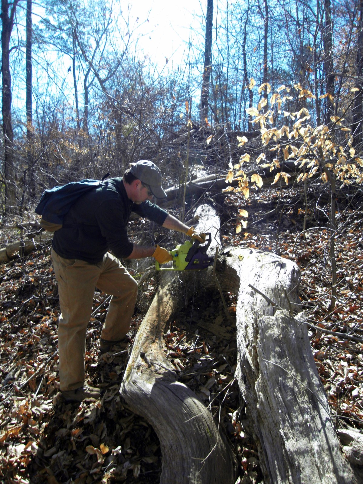sdc10400.jpg