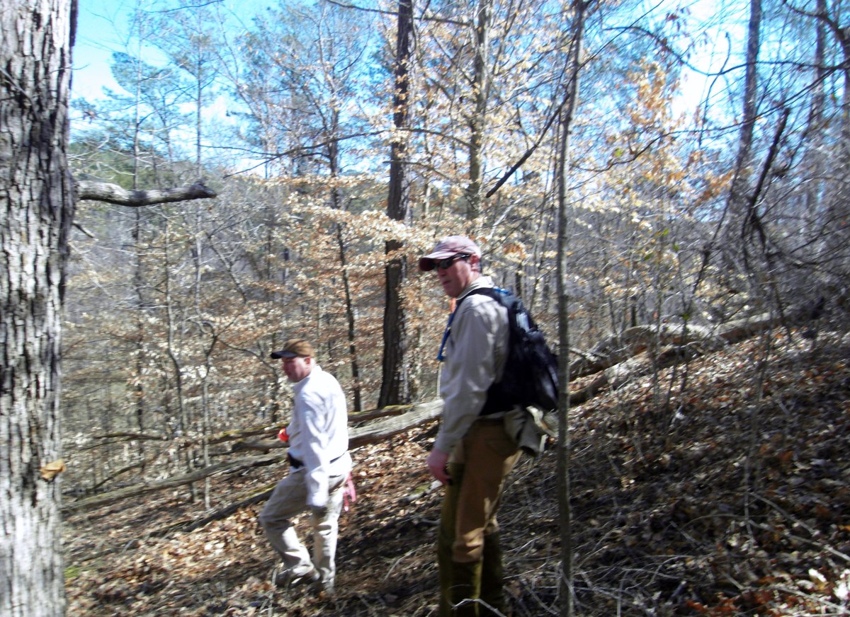 sdc10404.jpg
