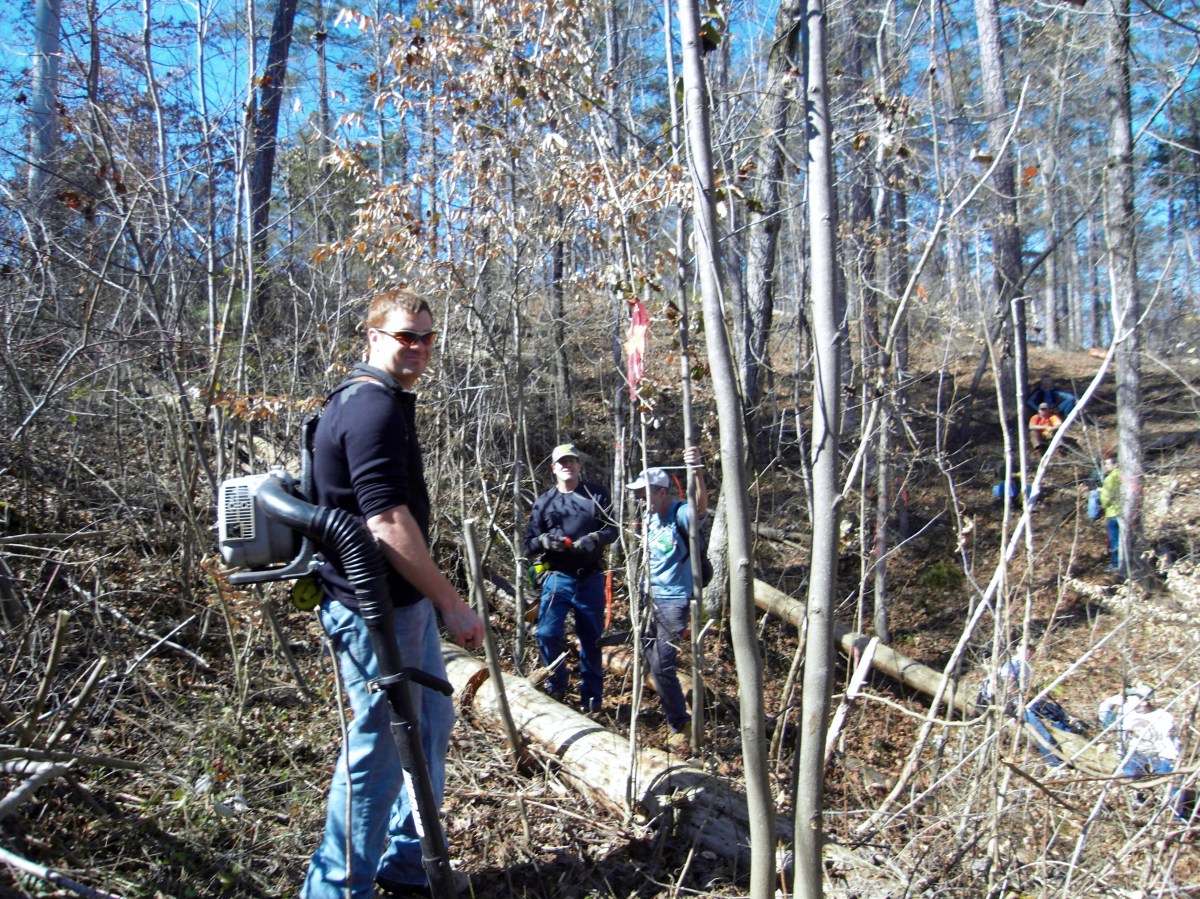 sdc10405.jpg