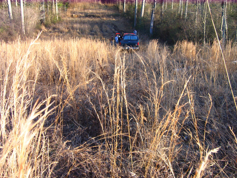img_0311.jpg