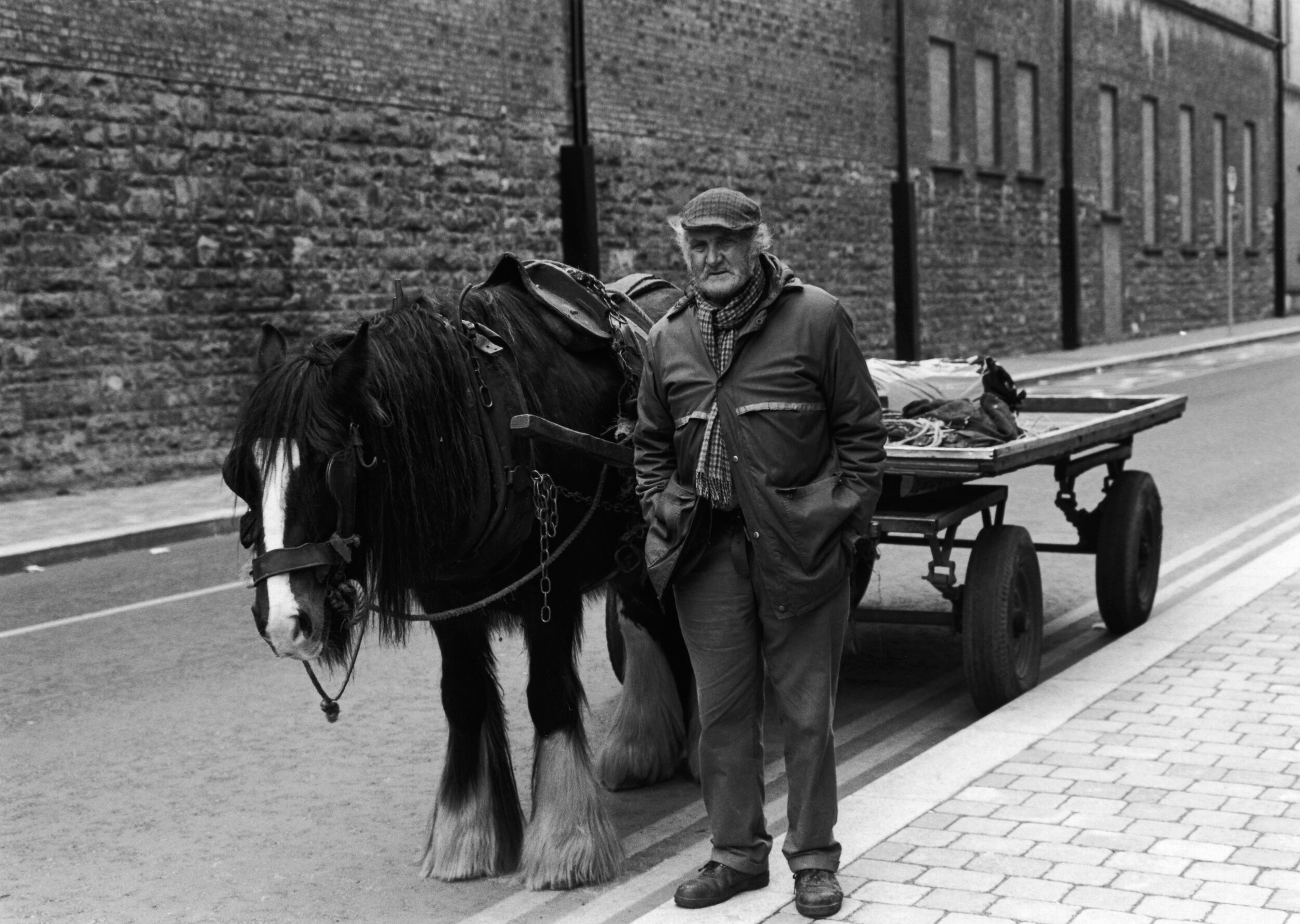 Bob Fagan_Dublin_Man & Horse.jpg