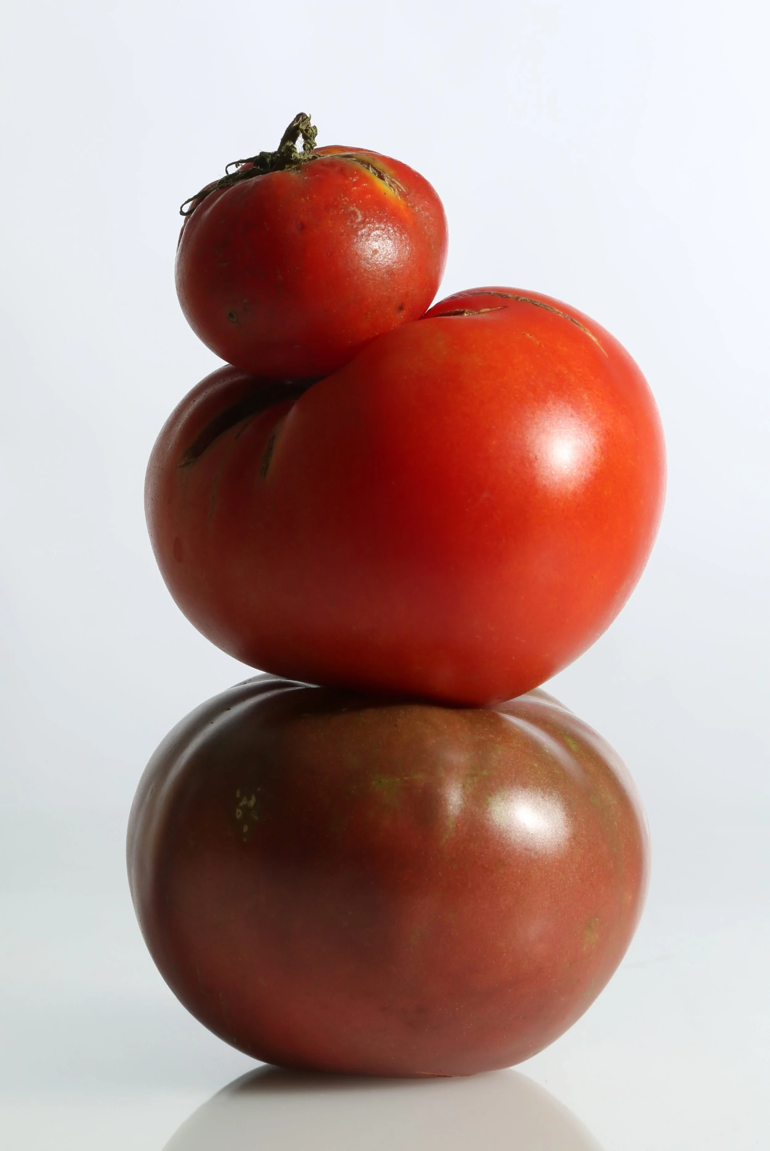 3Tomatos copy.jpg