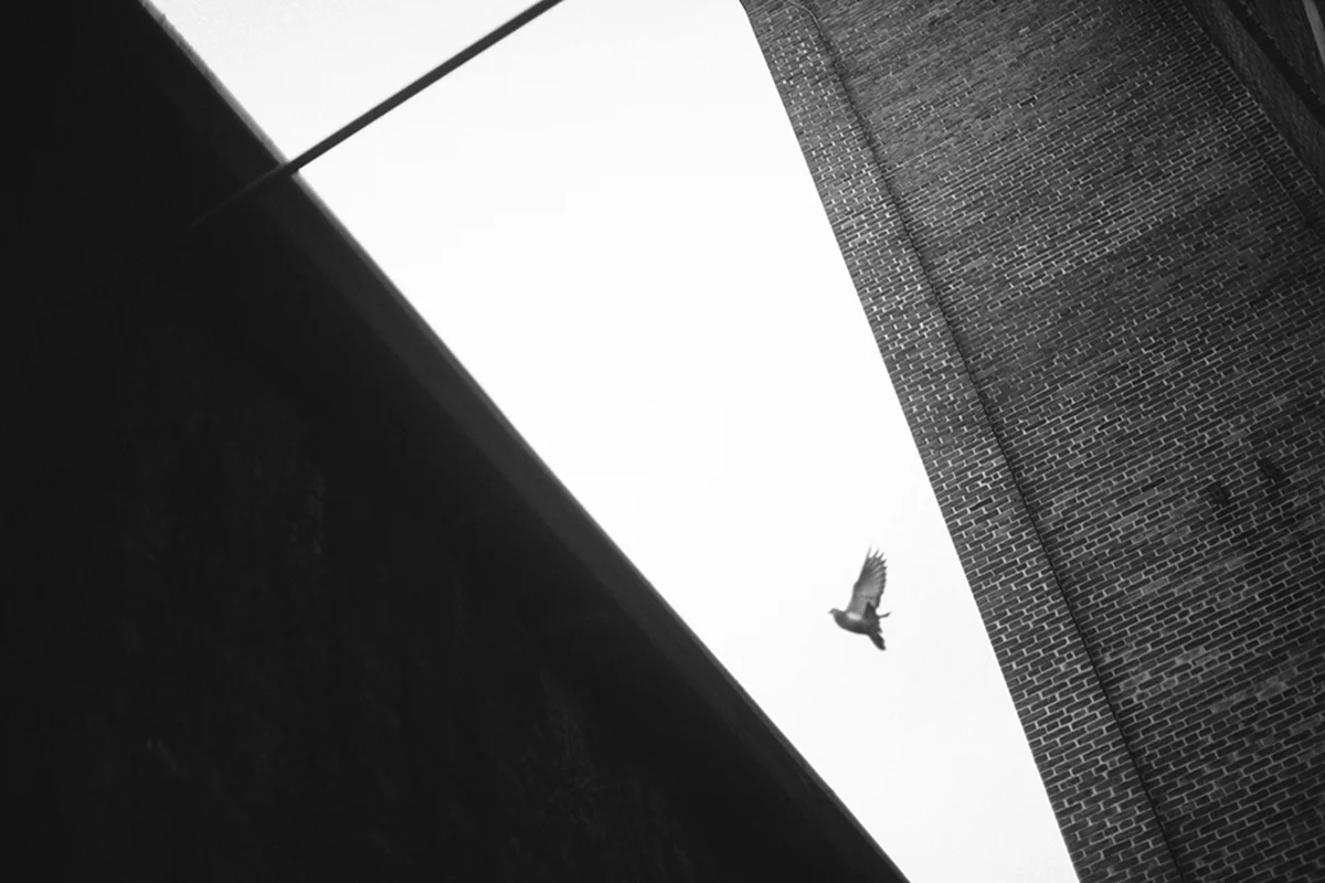 349.jpg