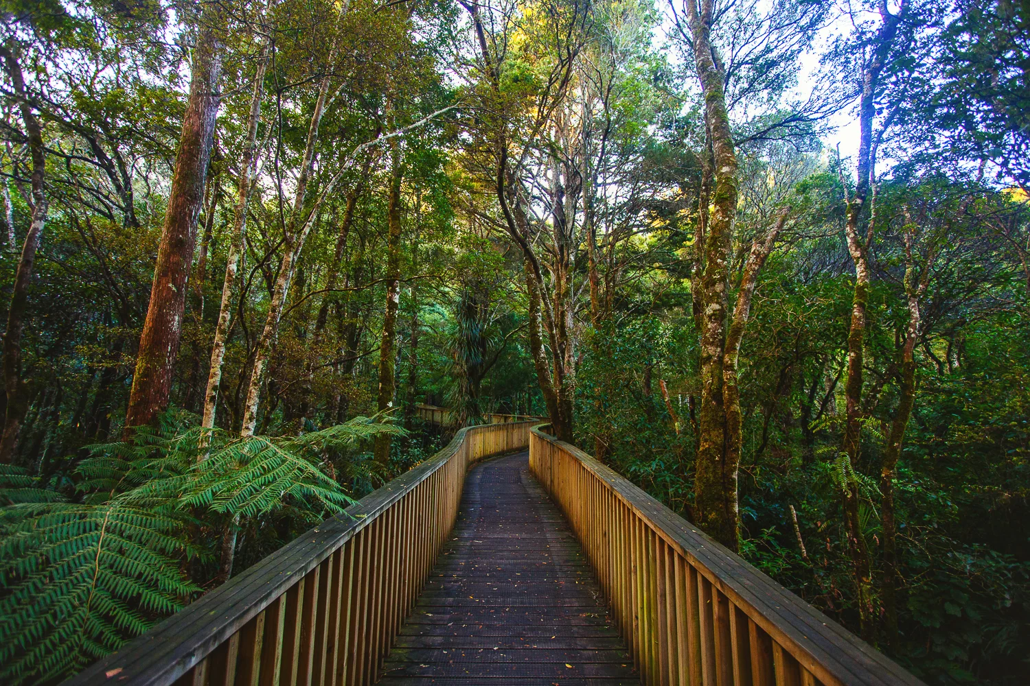 nz (12 of 58).jpg