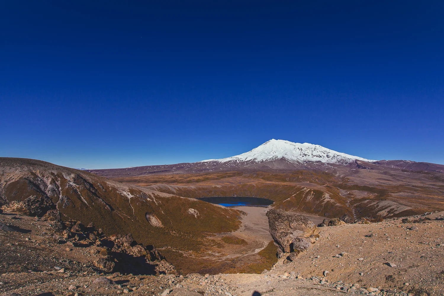 nz (32 of 58).jpg