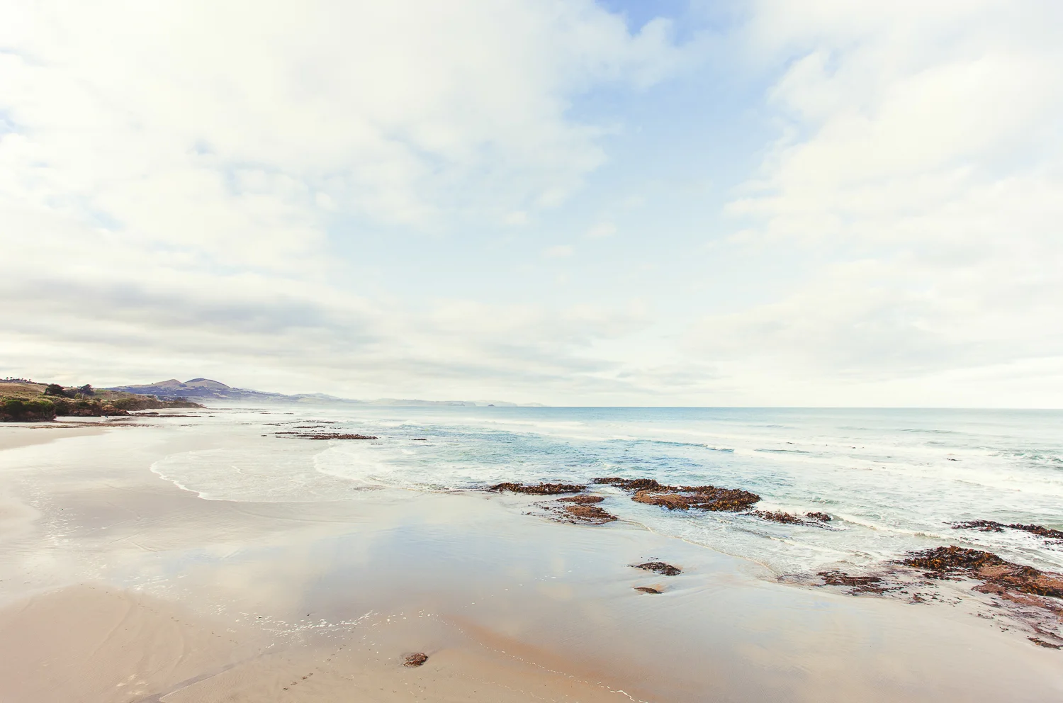 nz (47 of 58).jpg