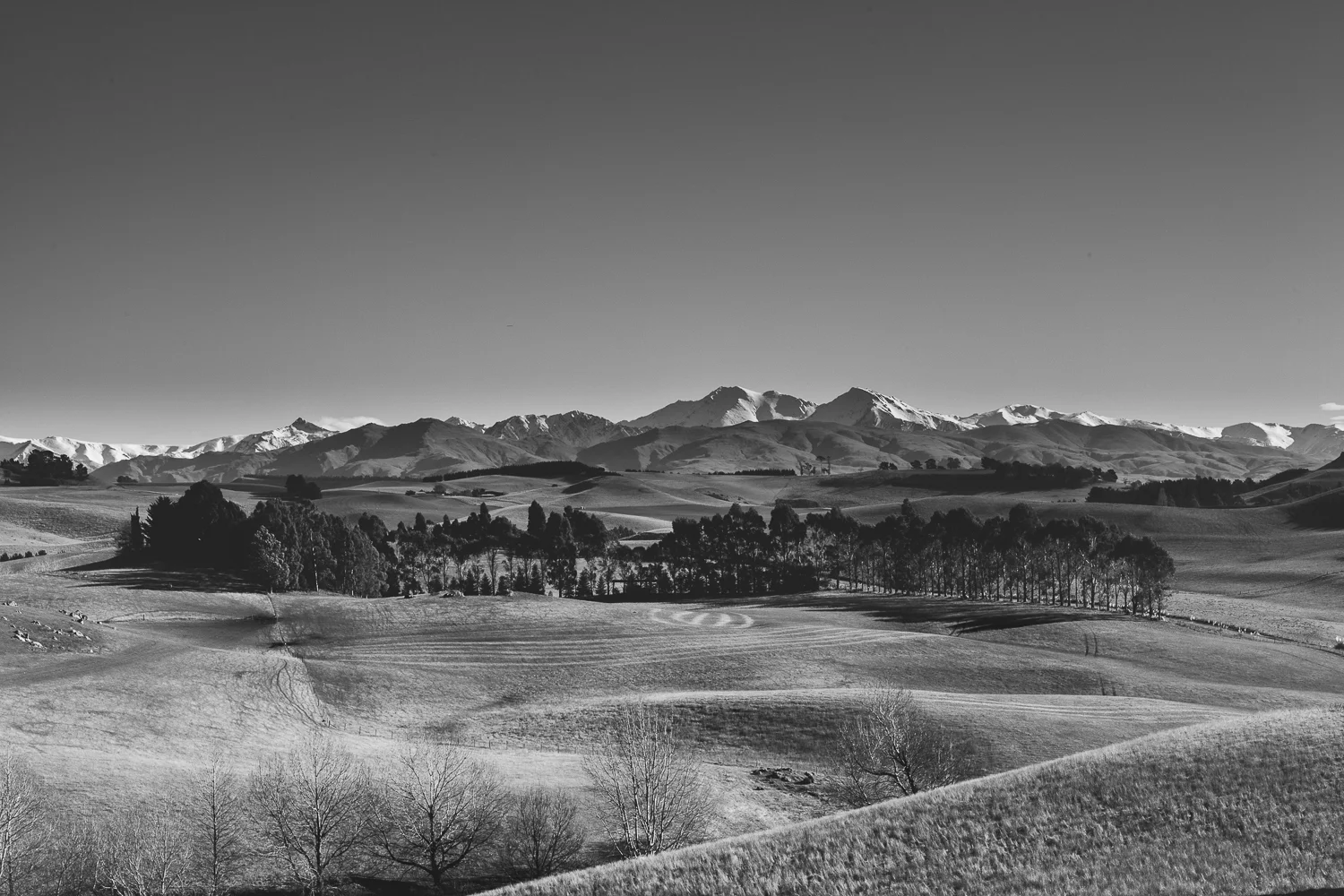 nz (53 of 58).jpg