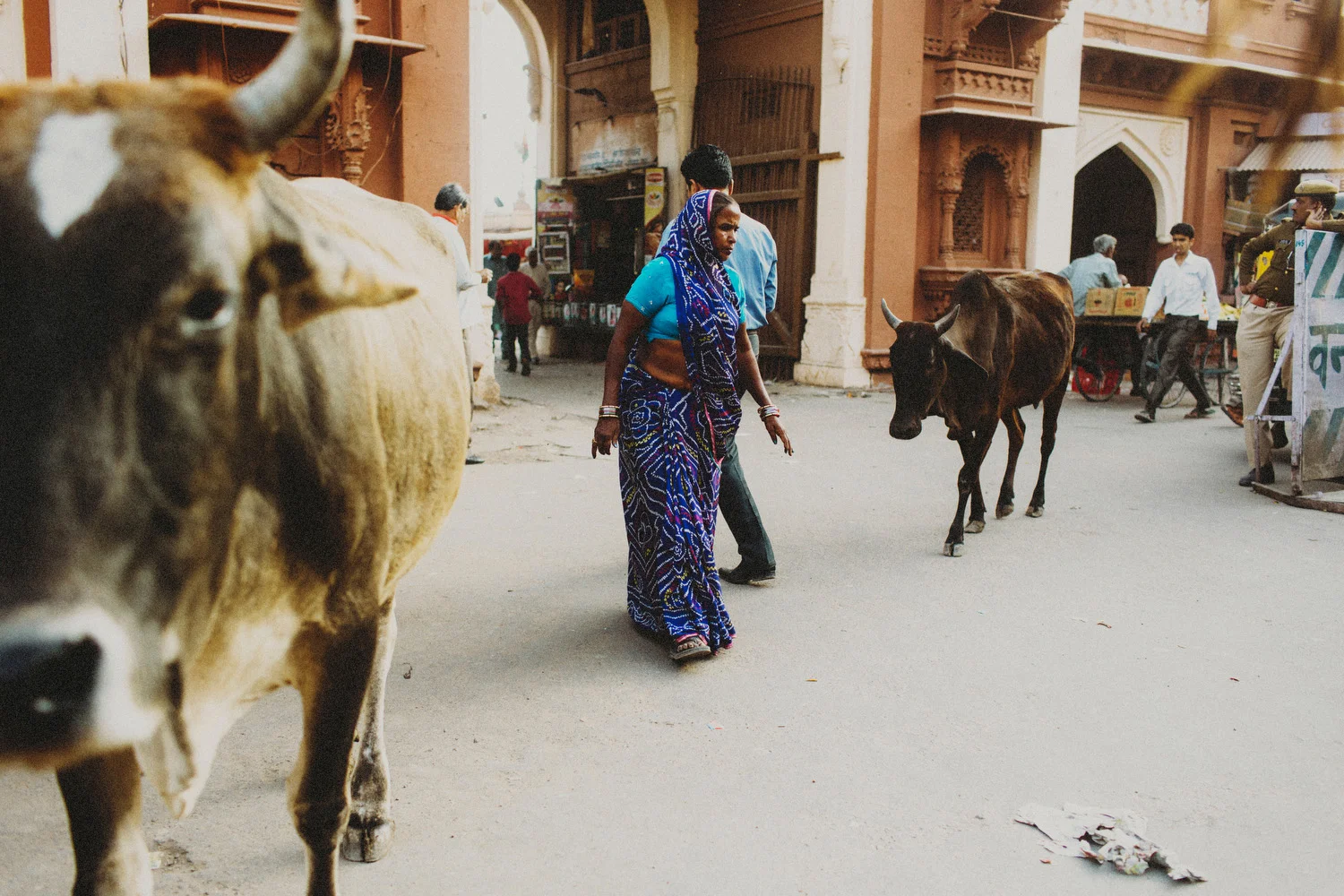 India86A.jpg