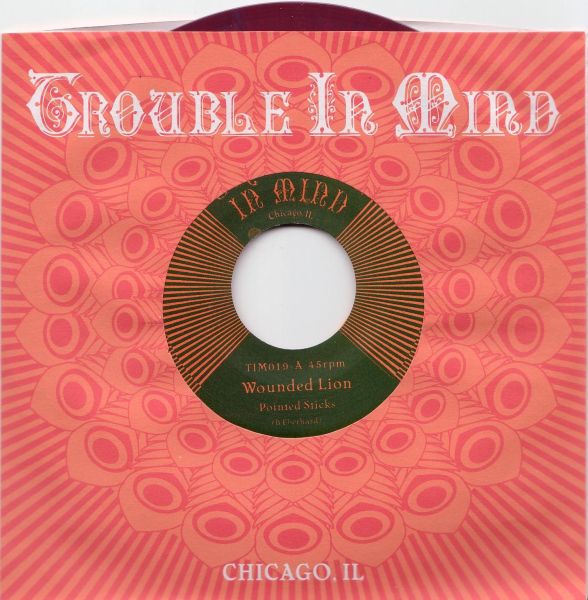 wounded lion pointed sticks.jpeg