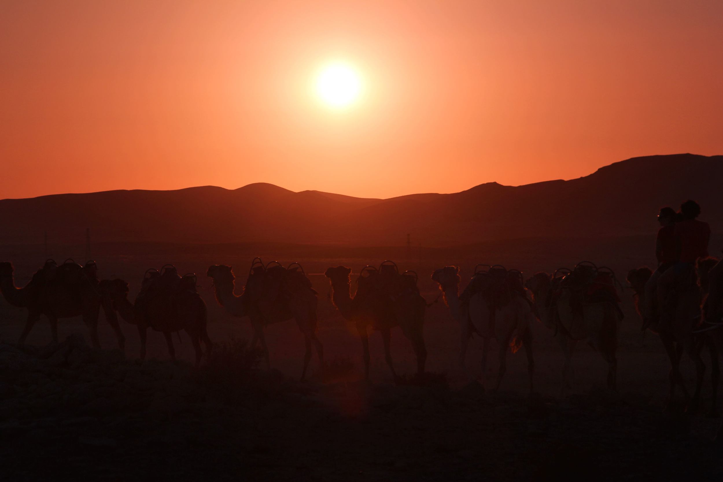 desert sunset.jpg