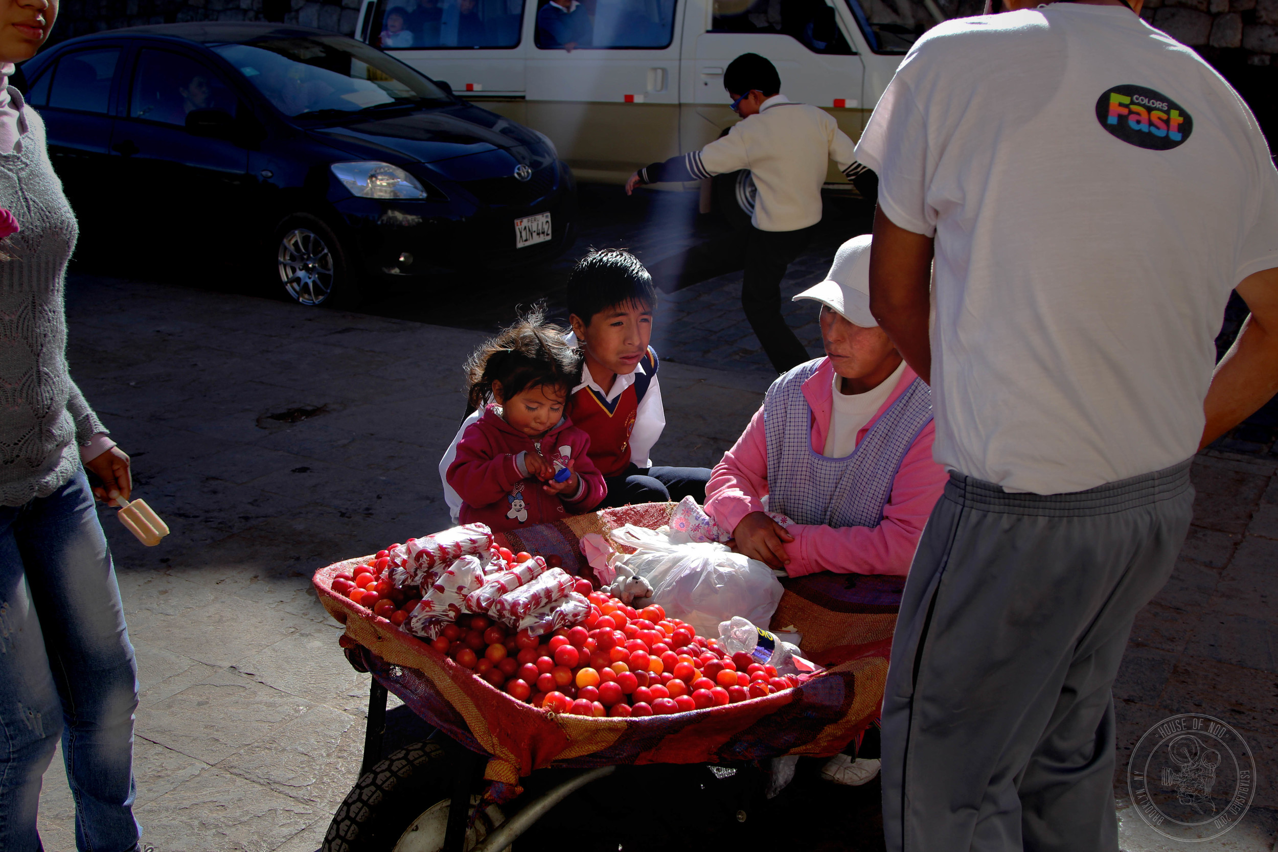 family selling fruit.jpg