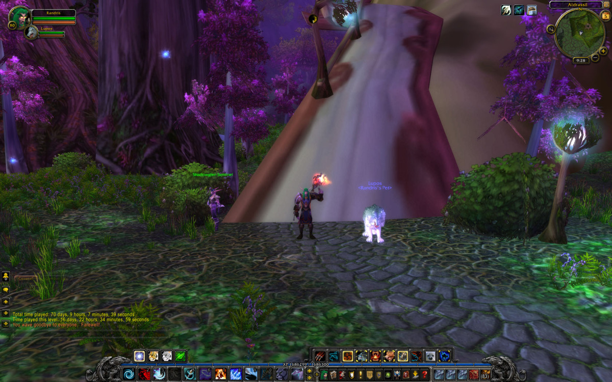 Level 80 Randris