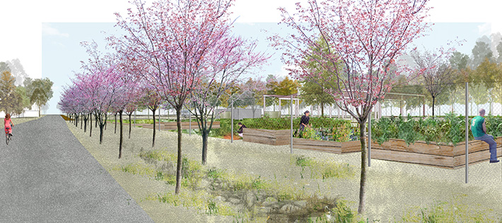 Food-Hub-Design-02.jpg