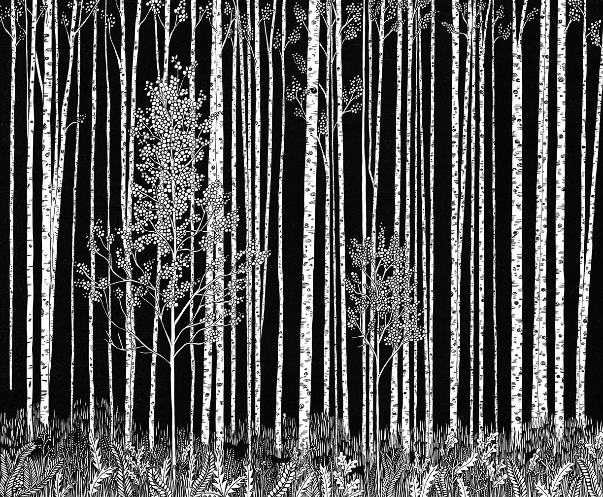 Ode to Ansel II, 2012