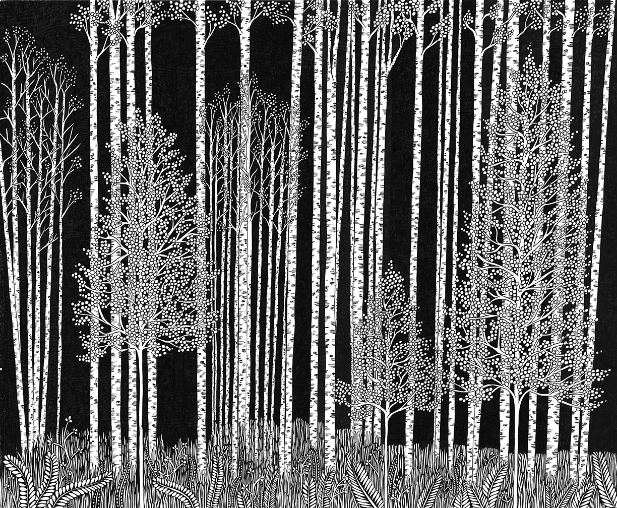Ode to Ansel I, 2012