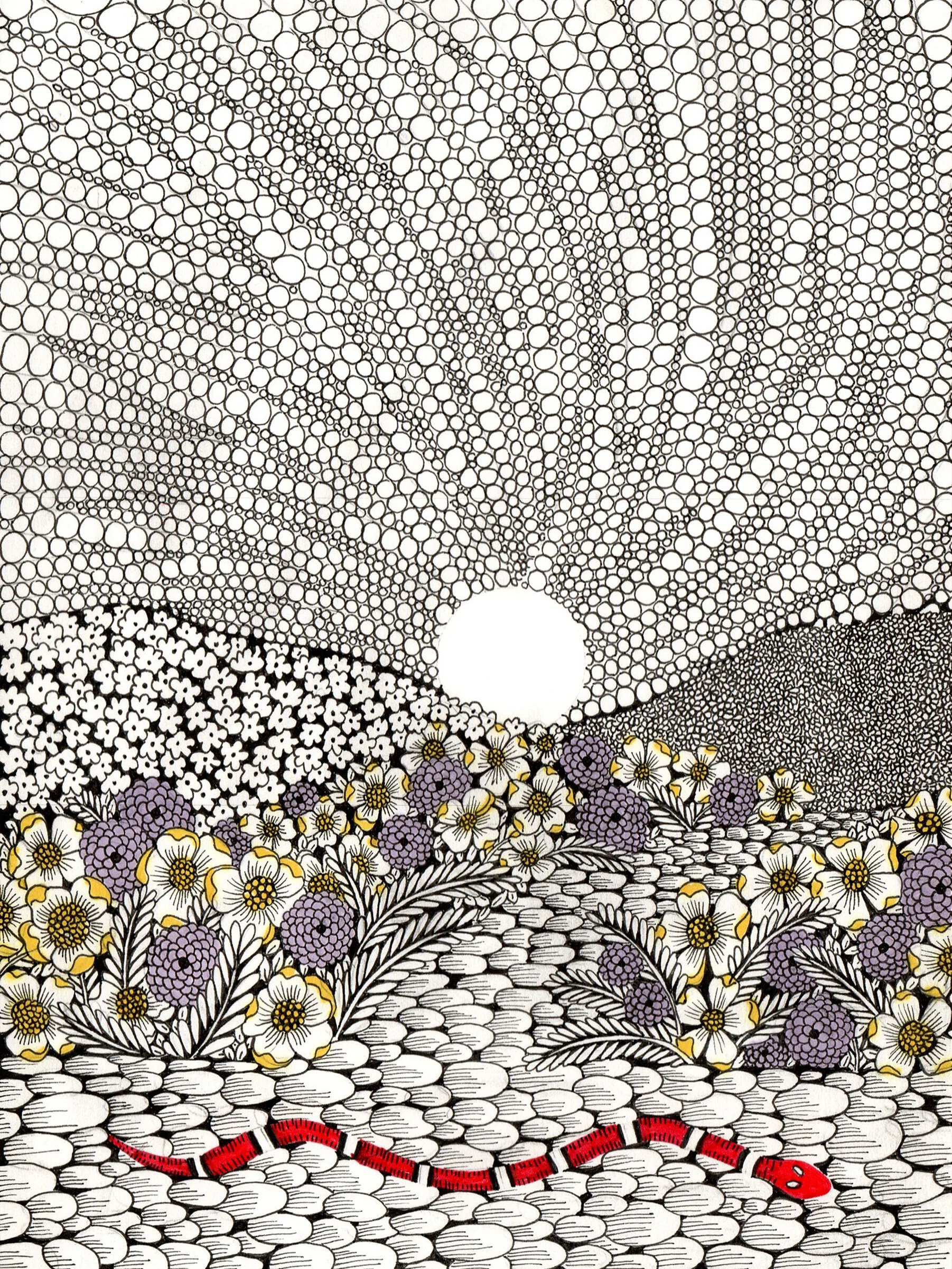 In The Garden