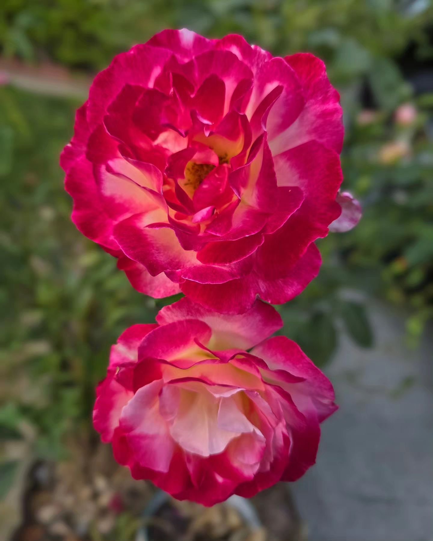 #grateful