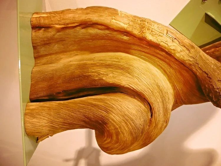 L1020373.jpg