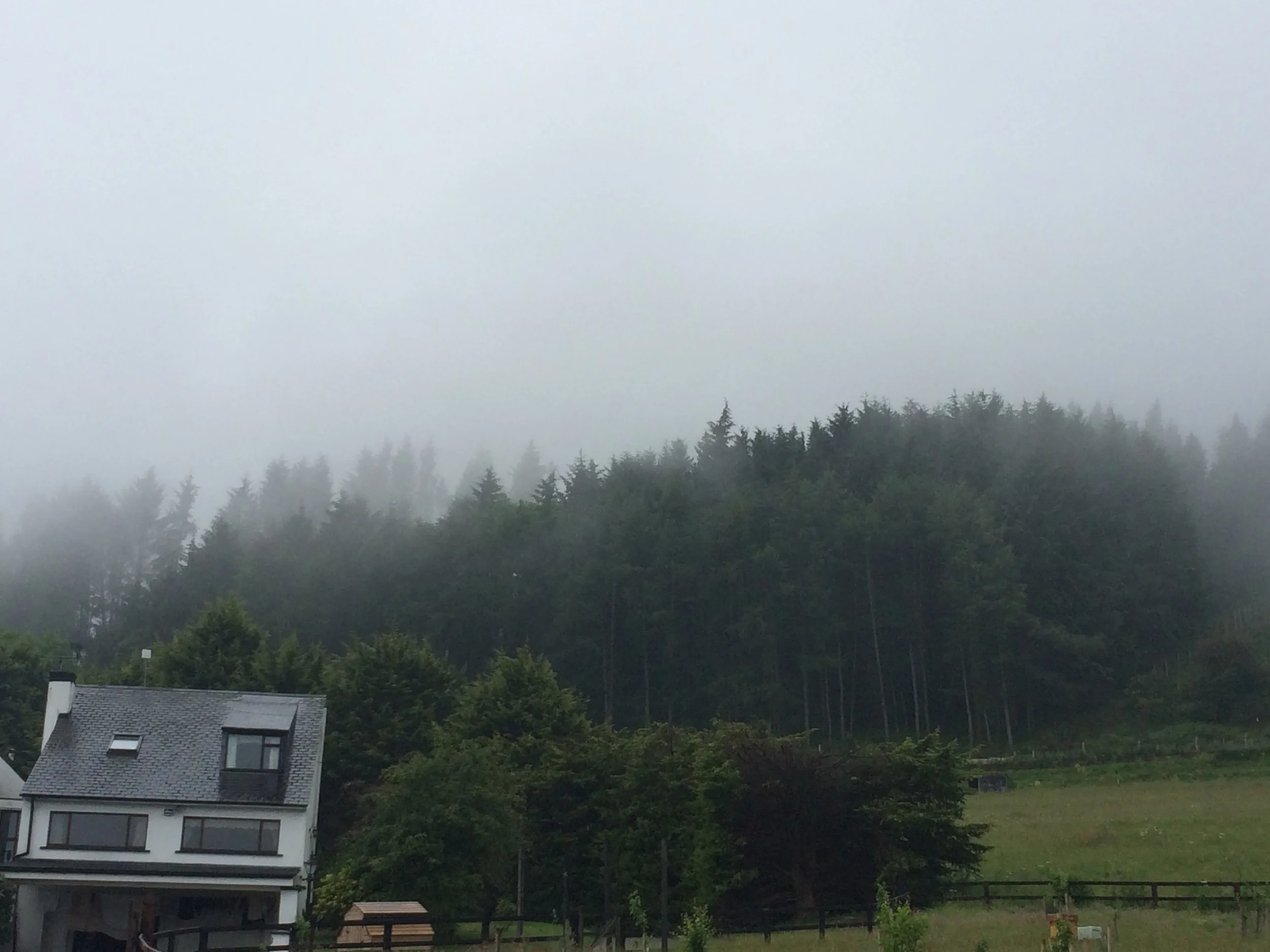  So after a 8 hour flight and 1 hour bus ride I showed up at a stop that my host would pick me up at. They then brought me here, there home and farm. I soon figured out my host where 2 gay men, both my dad and I was very happy and relived because my worries of being murdered and raped was no longer an issue. Hoping on a plane and going to live with strange men in the middle of no where is often a bit intimidating. Altho most the WWOOFers I talked to has never really had any creepy experienced and I even told my host my fear and they laughed and we talked about how american parents are good at installing fear in to there kids. Yes bad things happen but they happen everywhere, but it shouldn't stop you from seeing the world and experiencing culture. So now Im happy and safe in my temporary Irish home free from being murdered. I arrived mid day and my host told me I could go nap but I thought it was better to just jump right in and get use to the time. So my Host Olly took me to met my new roommate, Susanna a tall blue eyes creamy skinned German girl. She was very quite and seem grumpy all the time, But fortunately for her Im loud and not shy. We quickly became good friends we worked side by side every day and making sarcastic jokes and picked on each other all day, I later learned the Irish call this type of joke with a friend "slaging". My first meal in Ireland was amazing I also had never consumed so much meat but Im not complaining! This is when I tried pigs blood for the frsrt time. All my meals in Ireland was amazing my host where passionate about food and cooking another reason they where a perfect fit for me they both taught me alot Although one thing I never picked up on was metric system Im just to dyslexic. lol The majority of food we ate was fresh off the farm. cooking and cooking what I grow is my passion and I love modeling but its become a career and cooking and growing has become my escape and passion. 