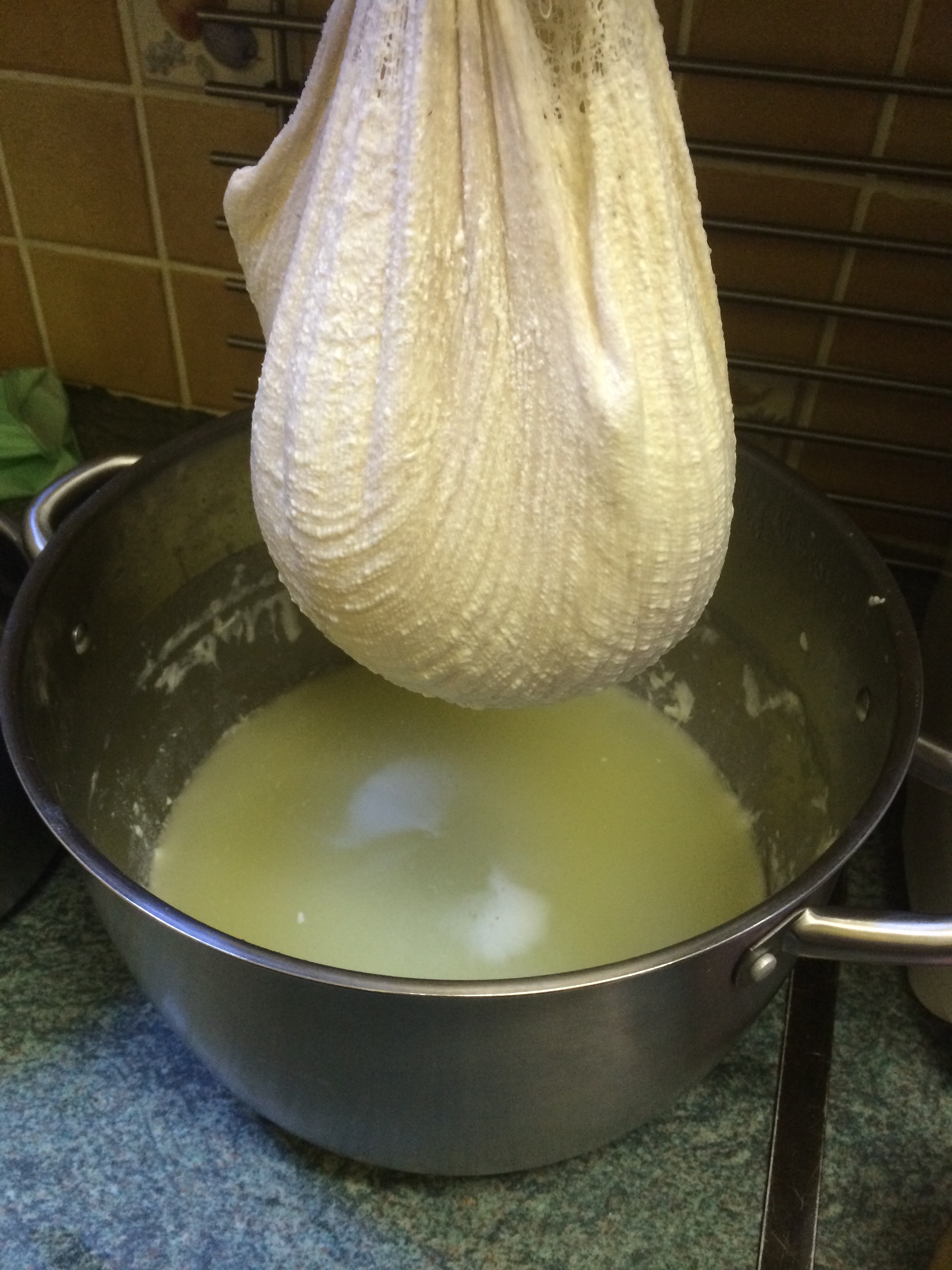 So with the cows milk from Cara and goats milk from Darcy My host taught me to make cheese and yogurt! Really the whole reason I chose this farm. Something I have worked hard to learn and want to really get good at. growing and producing my own food is a true passion of mine. 