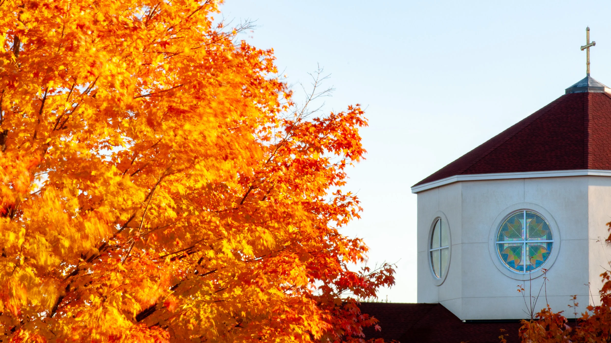 Fall Leaves-9091.jpg