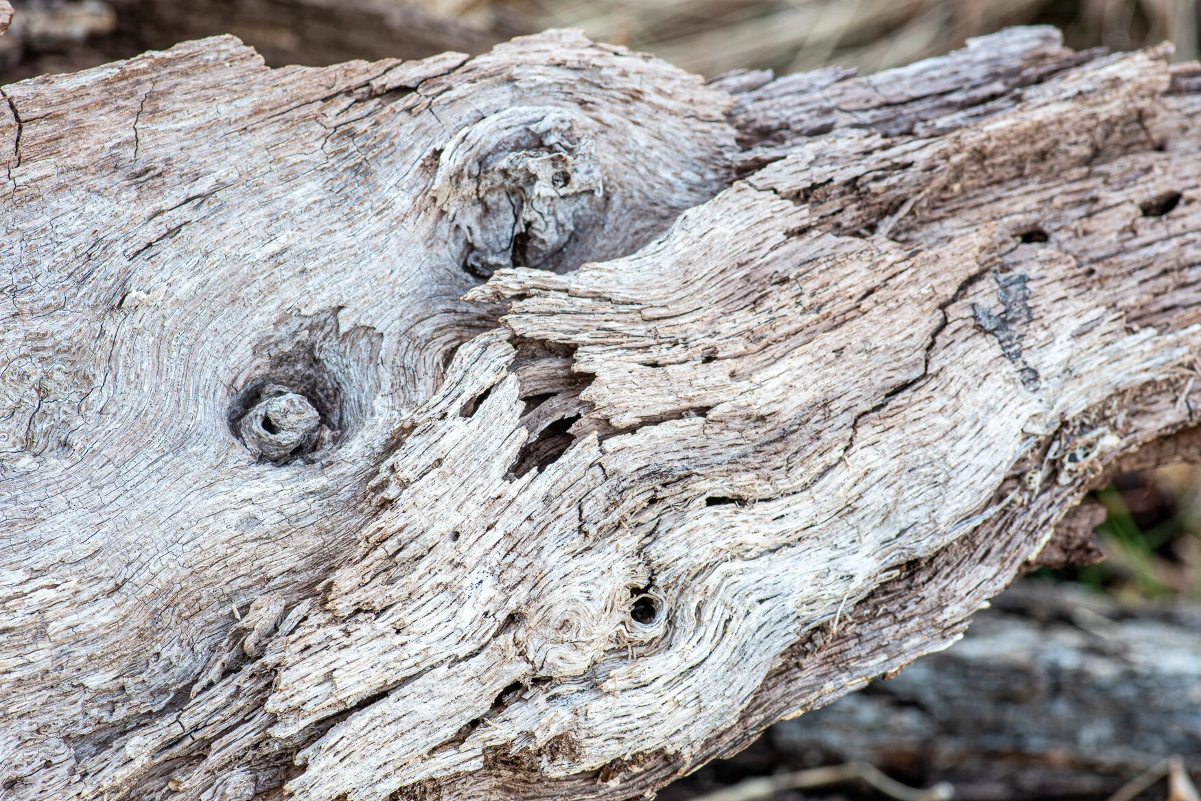 20200129 GLP-3070.jpg