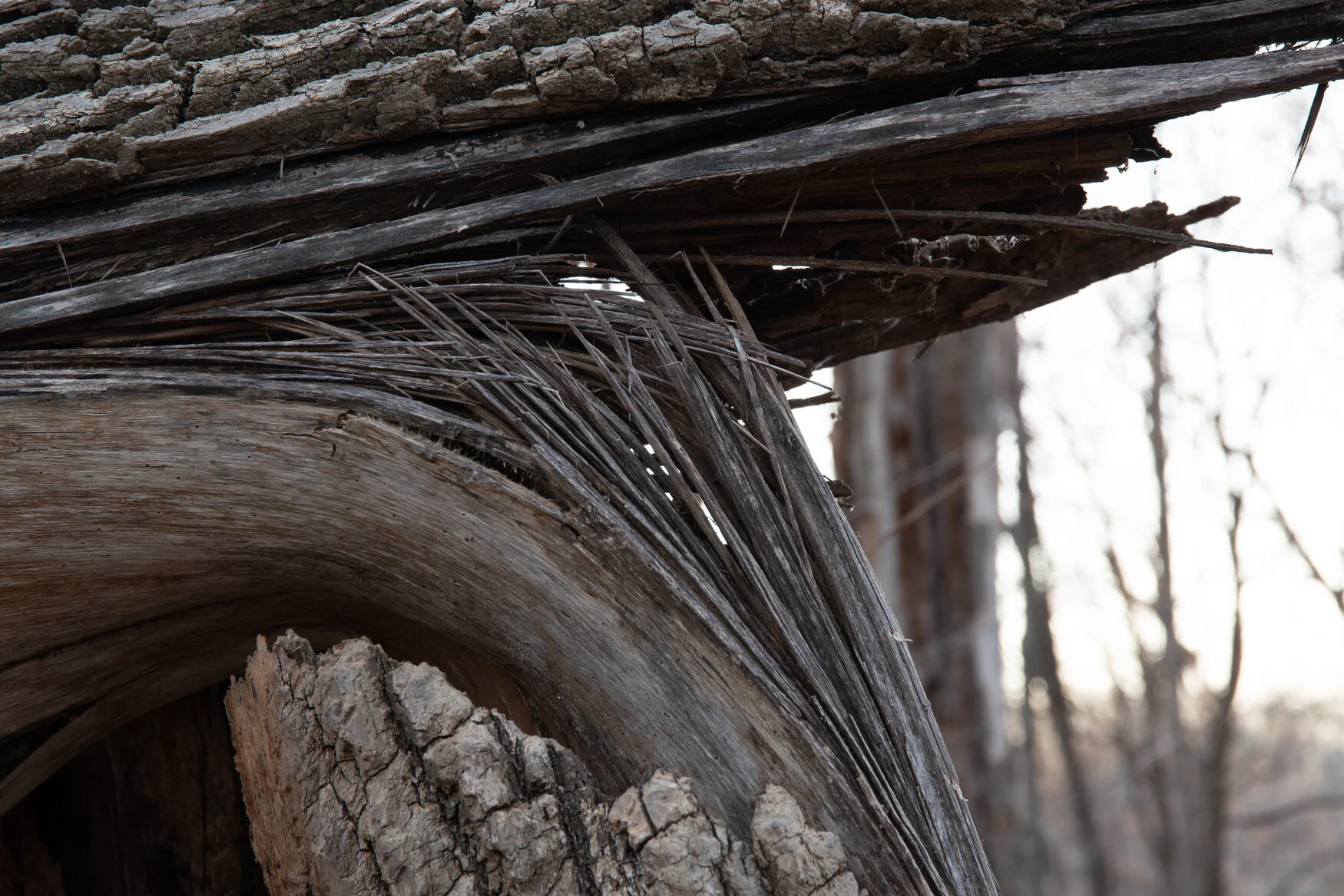 20200129 GLP-3153.jpg