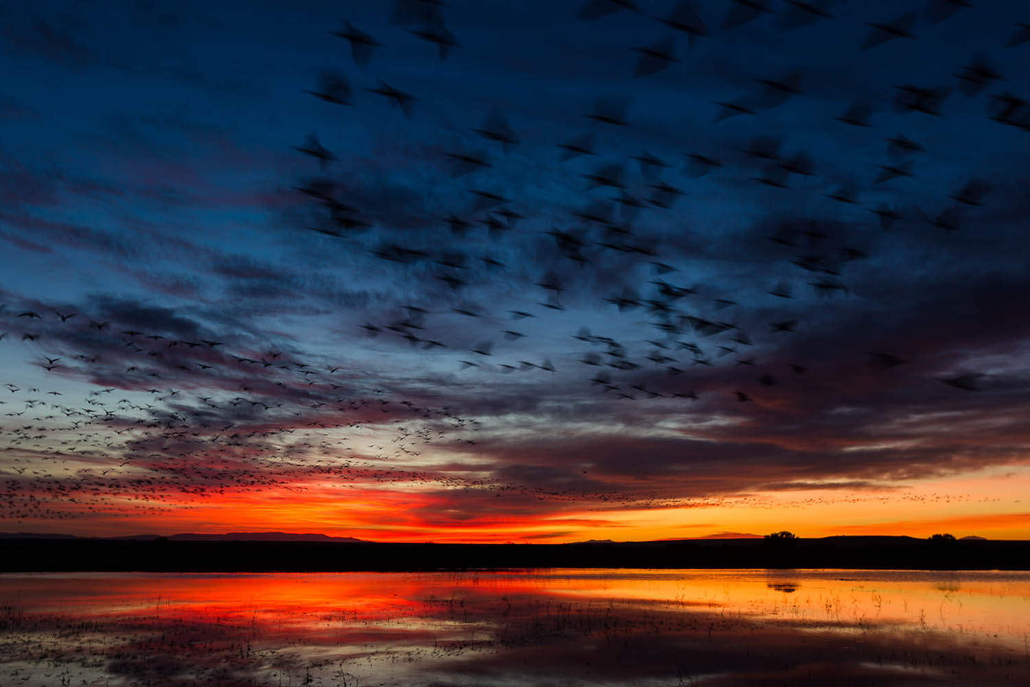 Sunrise Flight