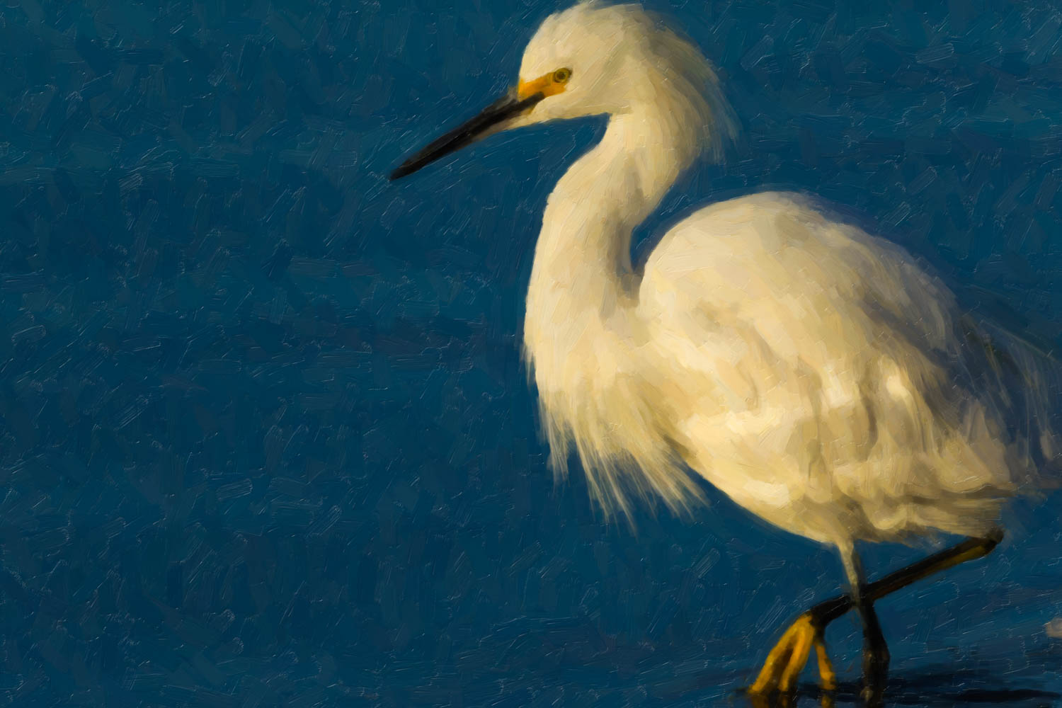 Egret