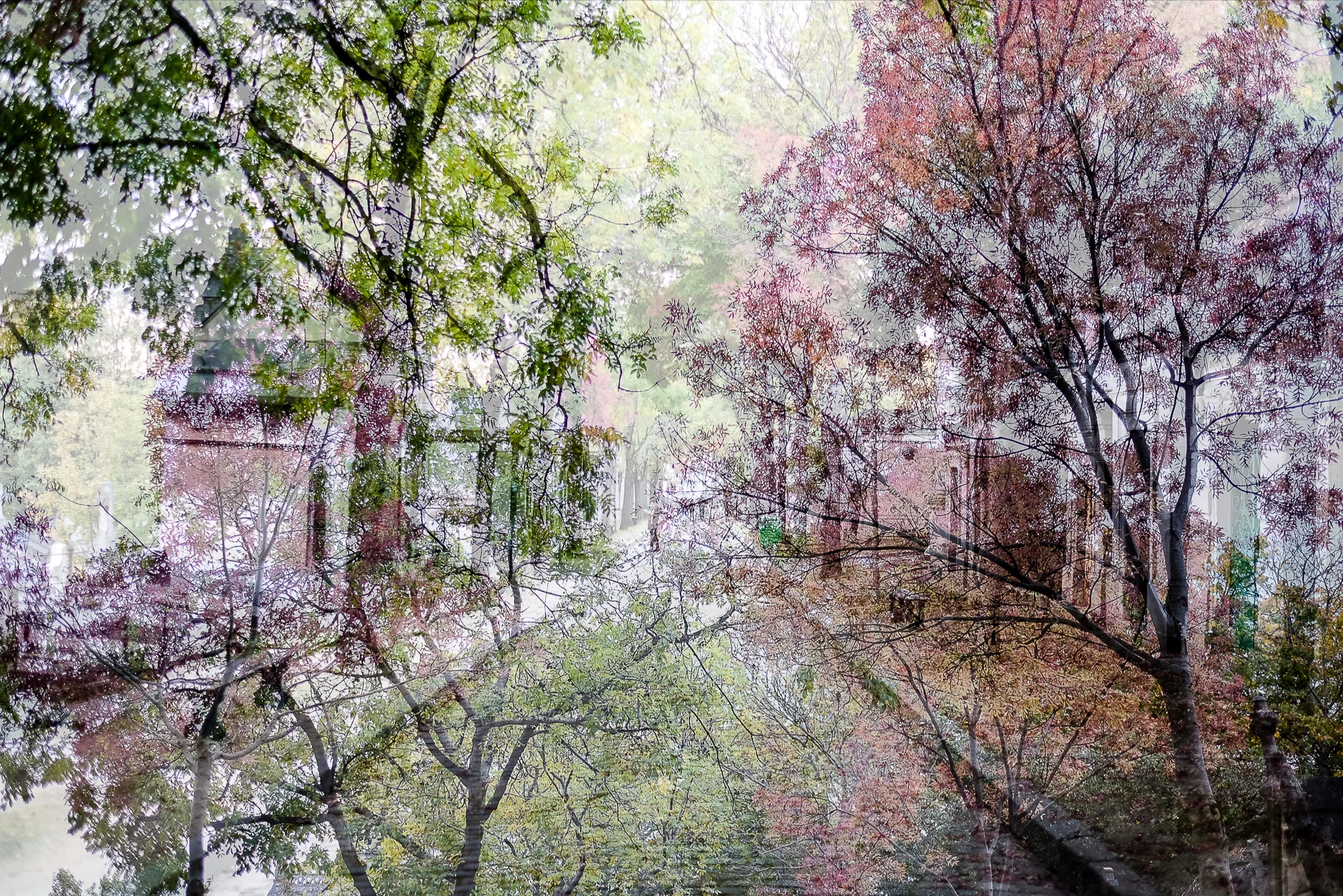 cemetary double exposure paris.jpg