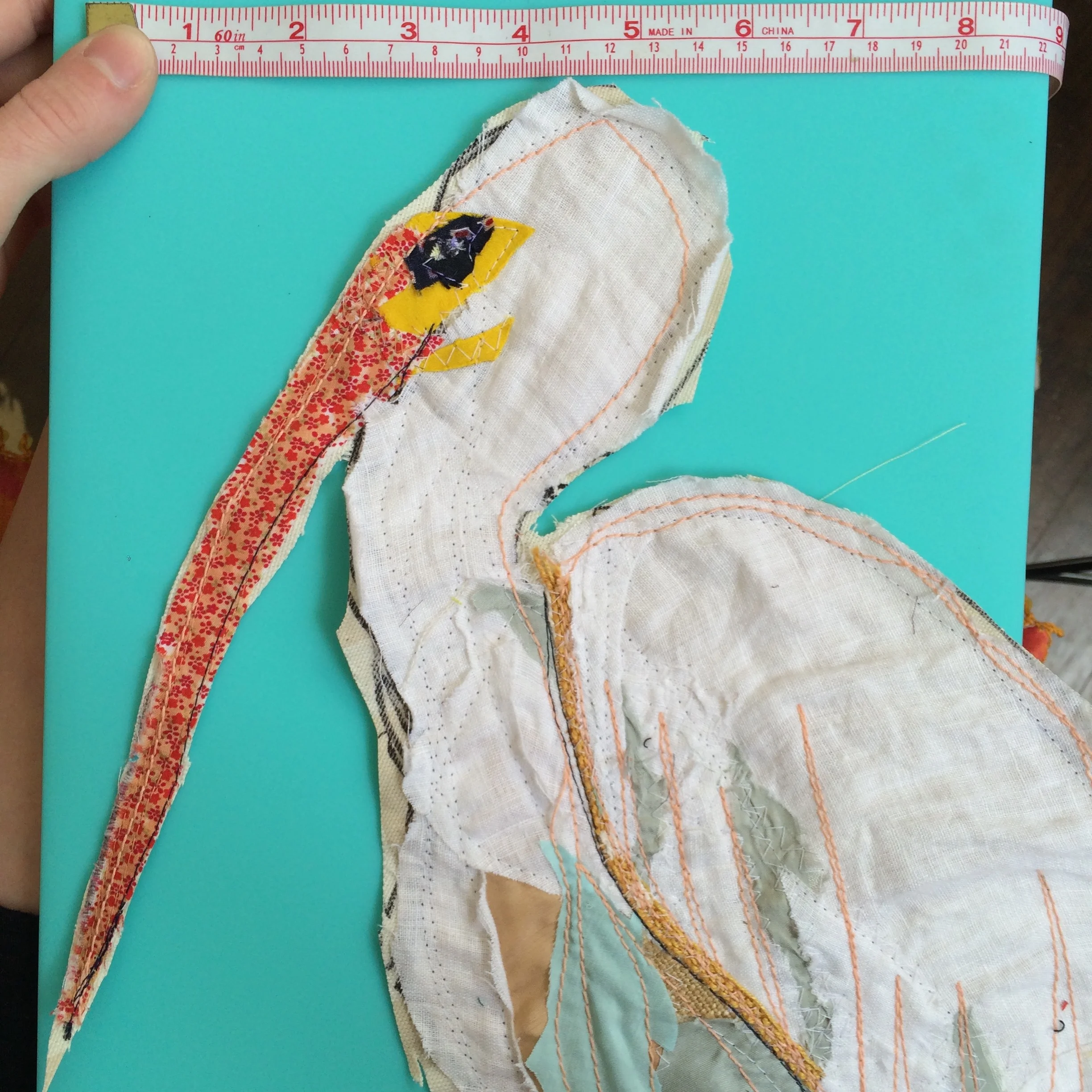White Ibis