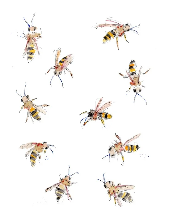 Bees_optimized.jpg