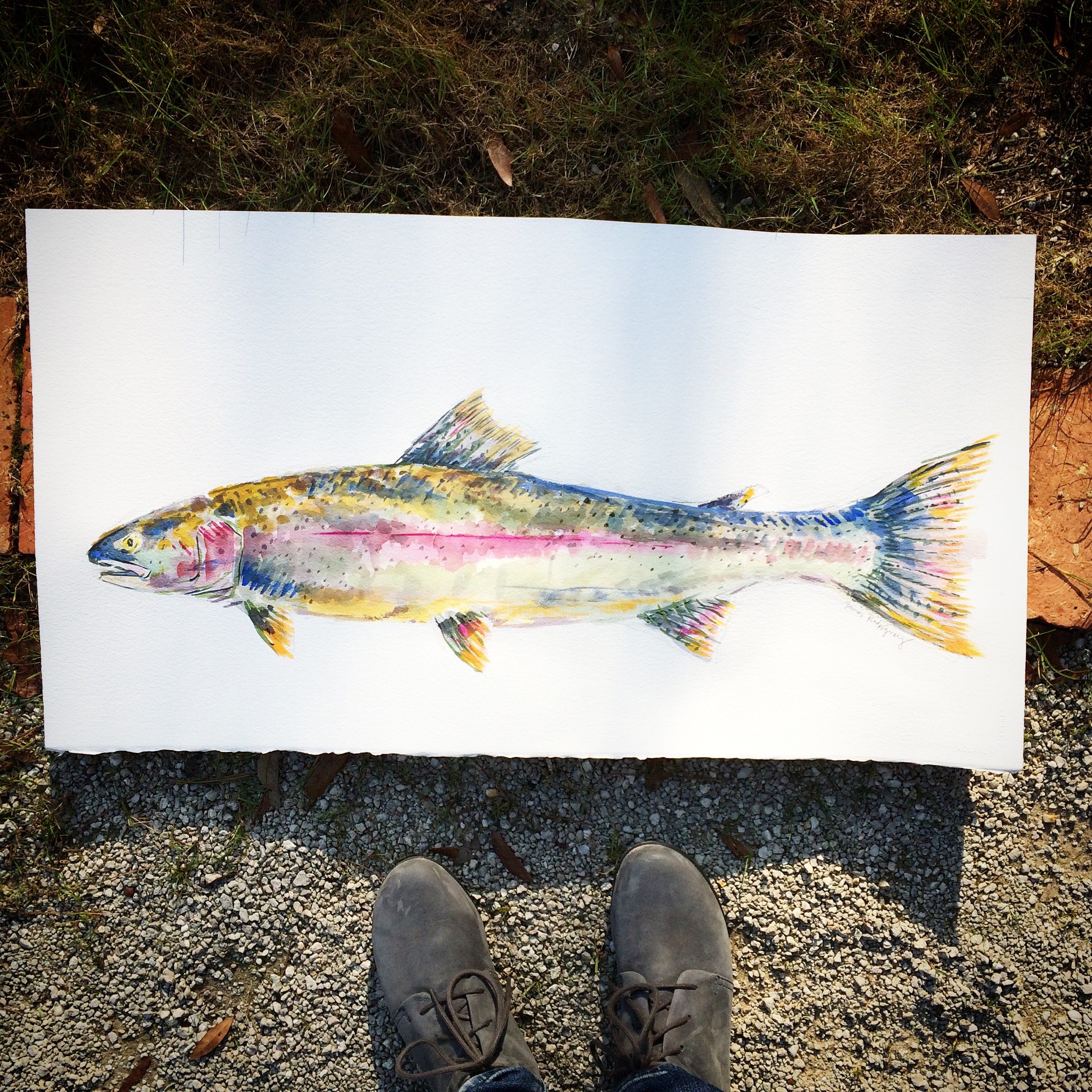 Speckled Trout