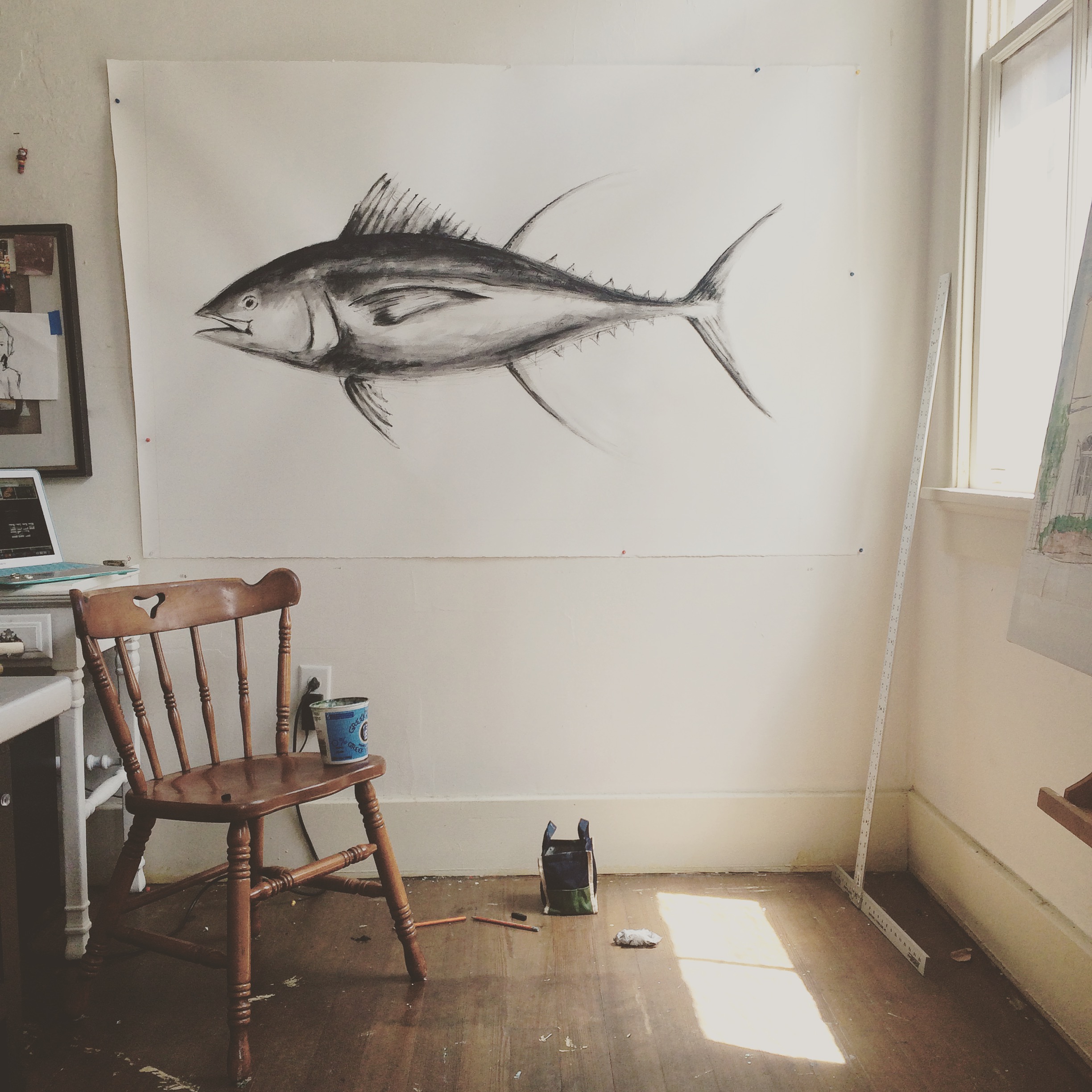 Yellowfin Tuna