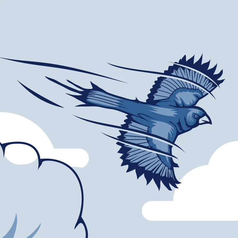 BIRD.jpg