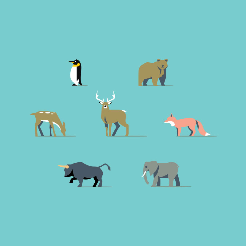 Animals designed. Животные флэт. Животное в стиле Flat. Иллюстрация в стиле Flat. Плоский дизайн животные.