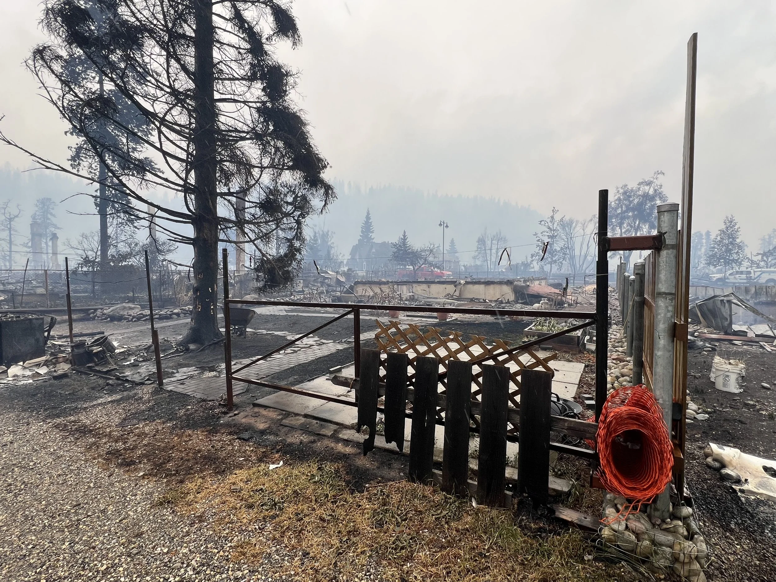South corner of 711, from the alley, morning after the fire.
